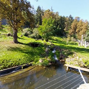 Spectacled bear enclosure