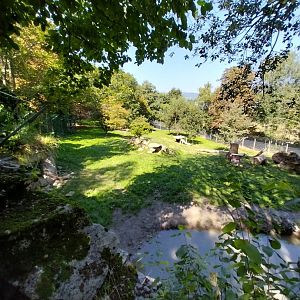 Hudson Bay wolf enclosure