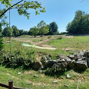 Plains buffalo enclosure