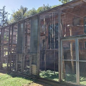 Siamang separation cage