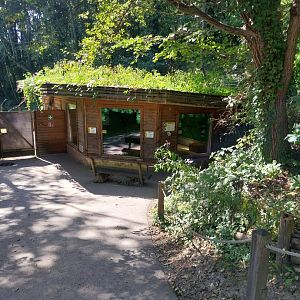 Bolivian squirrel monkey house
