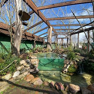 Zoo Heidelberg- South American aviary- 2023