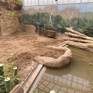 Zoo Heidelberg- elephant pool- 2023