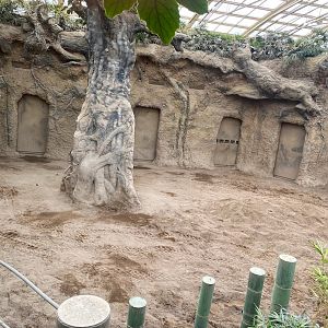 Zoo Heidelberg- elephant hall- 2023