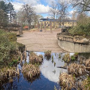 Zoo Heidelberg- elephant outdoor enclosure- 2023