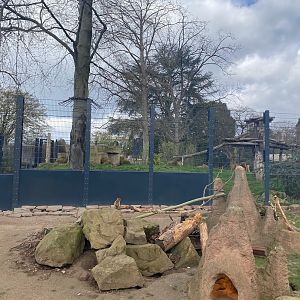 Zoo Heidelberg- meerkat enclosure- 2023