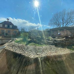 Zoo Heidelberg- expanded bear grotto- 2023