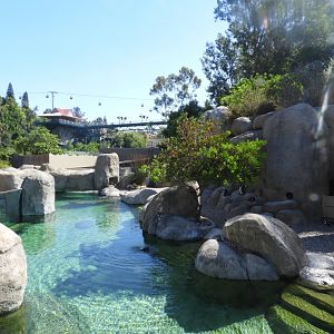 African penguin enclosure