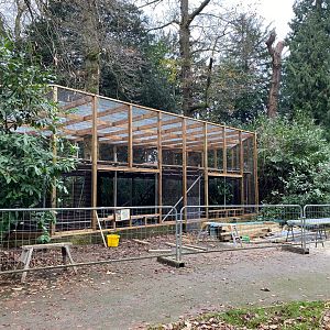 New Pallas's cat enclosure under construction, CWP