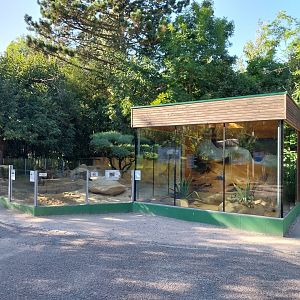 Zoo Linz - Suricate enclosure