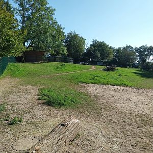 Zoo Linz - Chapman's zebra enclosure
