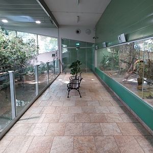 Zoo Linz - Tropenhaus - Visitor area