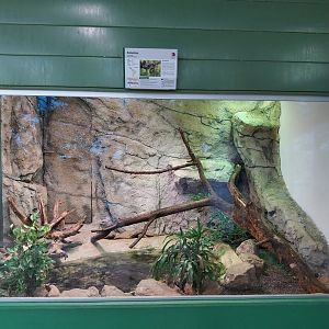 Zoo Linz - Tropenhaus - Central American boa enclosure