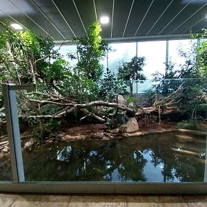 Zoo Linz - Tropenhaus - Main enclosure
