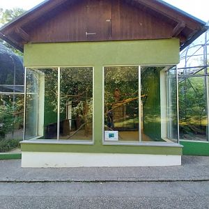 Zoo Linz - Parrot house