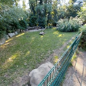 Zoo Linz - African spurred tortoise enclosure