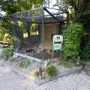 Zoo Linz - Fishers lovebird aviary