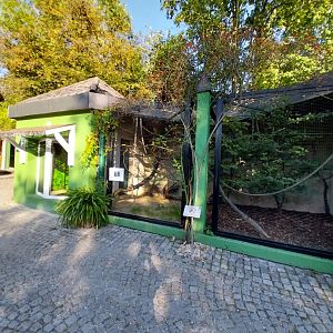 Zoo Linz - Cotton-top tamarin enclosure