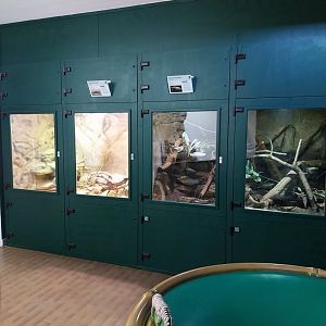 Zoo Linz - Haus der Artenvielfalt - Second floor general view