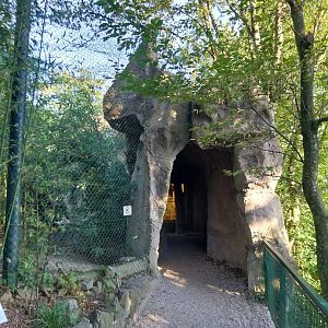 Zoo Linz - Katta cave