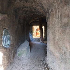 Zoo Linz - Katta cave