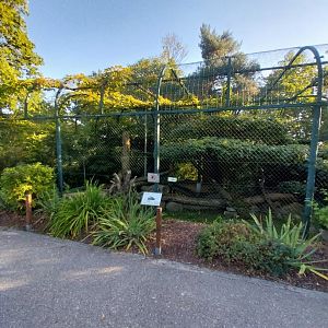 Zoo Linz - Nepalese red panda enclosure