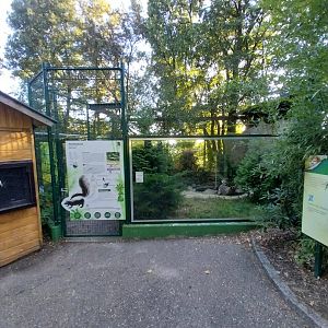 Zoo Linz - Striped skunk enclosure