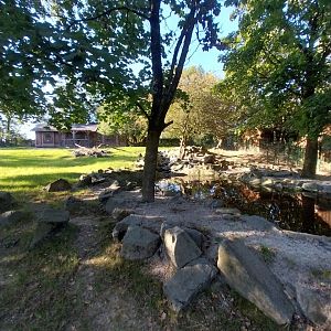 Zoo Linz - Nyala enclosure
