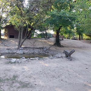 Zoo Linz - Red-necked wallaby enclosure