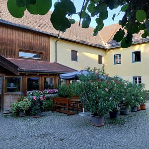 Tiergarten Walding - Courtyard