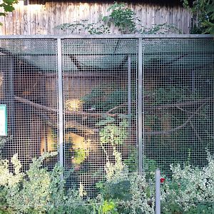 Tiergarten Walding - Black-capped capuchin cage
