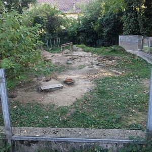 Black-tailed prairie dog enclosure