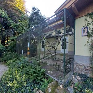 Tiergarten Walding - Parrot aviaries