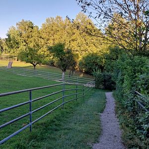 Tiergarten Walding - General view