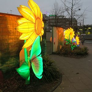 China Lights - in the Evening at the Entrance