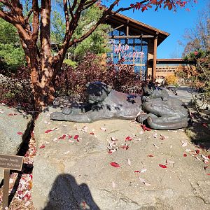 Akron Zoo - Jaguar statue at entrance