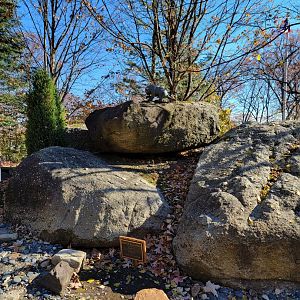 Akron Zoo - Fountain with statue at entrance (it's November, the water is off)