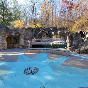 Akron Zoo - Humboldt penguins