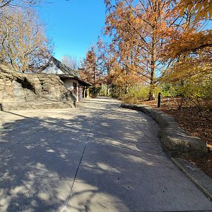 Akron Zoo - Path to tufted deer