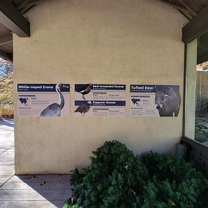 Akron Zoo - Tufted deer exhibit signage