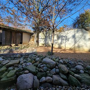 Akron Zoo - Tufted deer exhibit