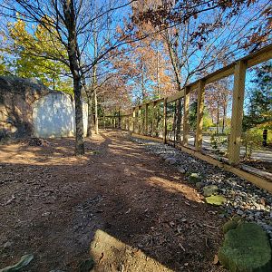 Akron Zoo - Tufted deer exhibit