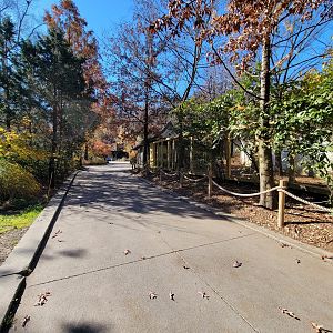 Akron Zoo - Tufted deer exhibit on right