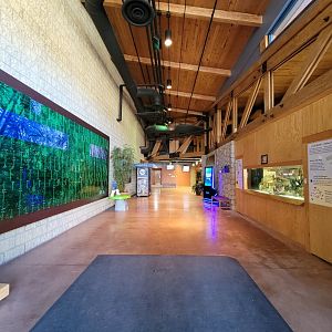 Akron Zoo - Inside Komodo Kingdom entrance