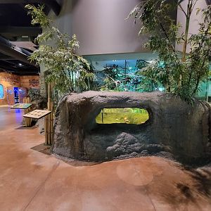 Akron Zoo - Rainforest exhibit