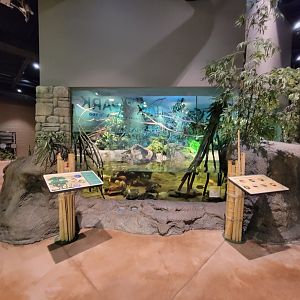 Akron Zoo - Rainforest exhibit