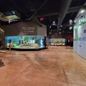 Akron Zoo - Komodo dragon exhibit