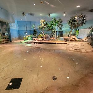 Akron Zoo - Komodo dragon exhibit