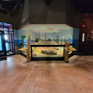 Akron Zoo - Galapagos tortoise indoor exhibit