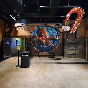 Akron Zoo - Curious Creatures